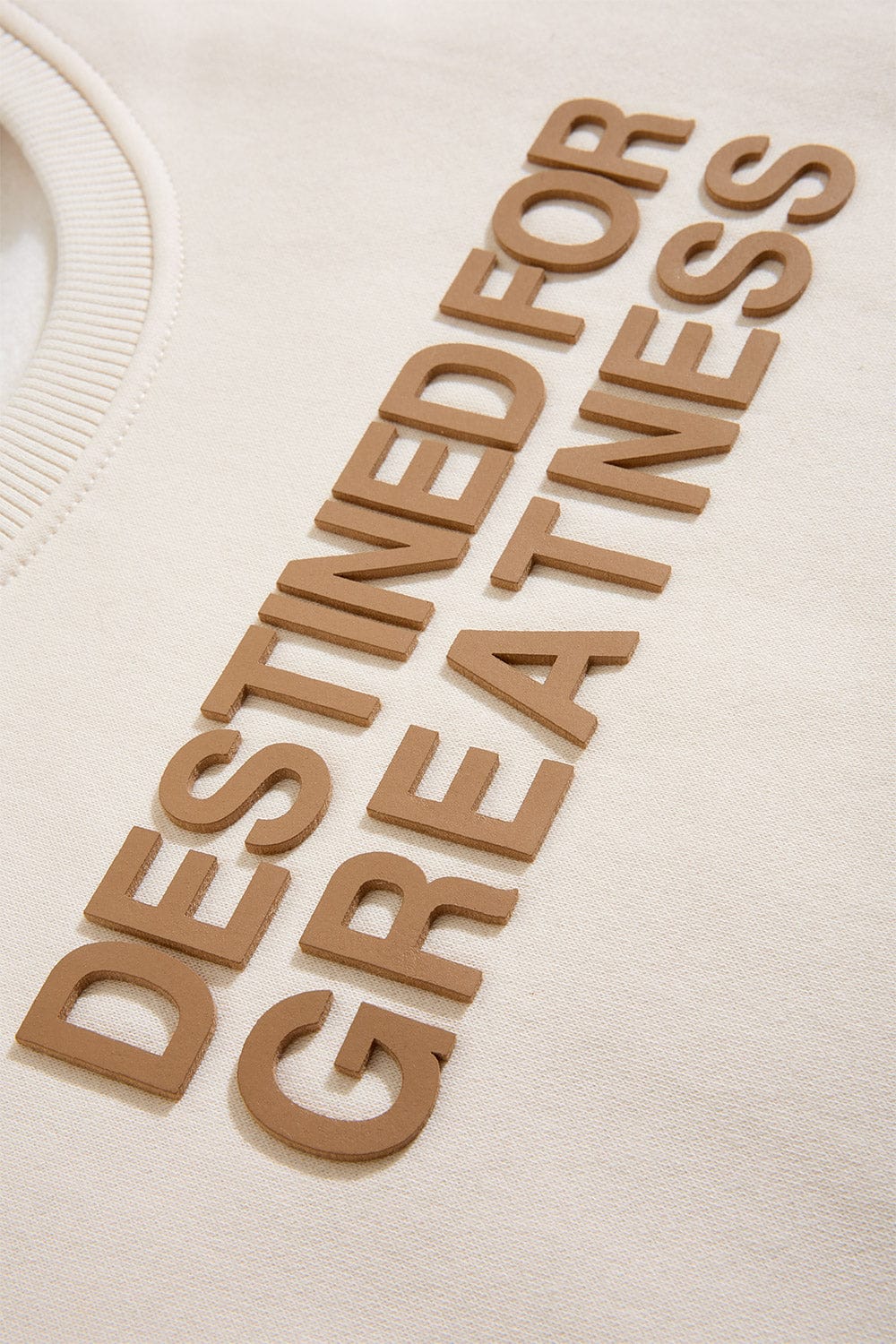 JC Kids Kids Destined For Greatness Crewneck Sweatshirt