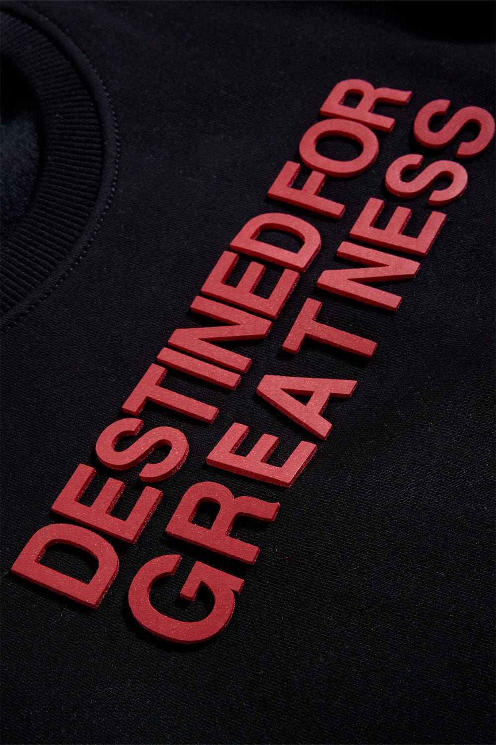 JC Kids Kids Destined For Greatness Crewneck Sweatshirt