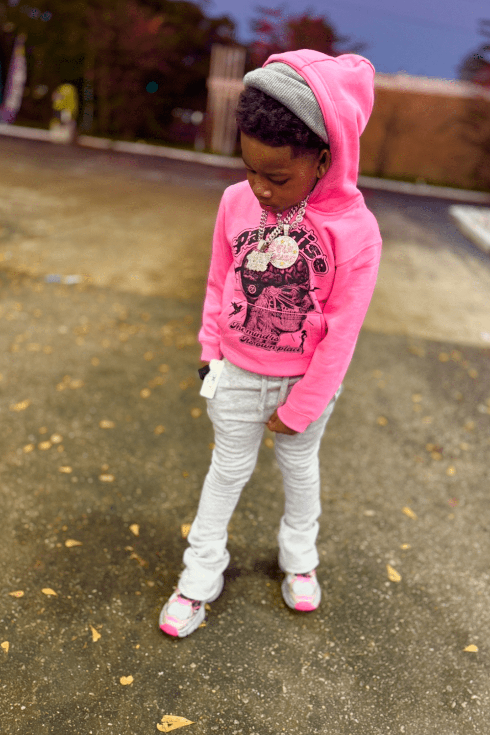 JC Kids Kids Cranial Paradise Pullover Hoodie (Pink)