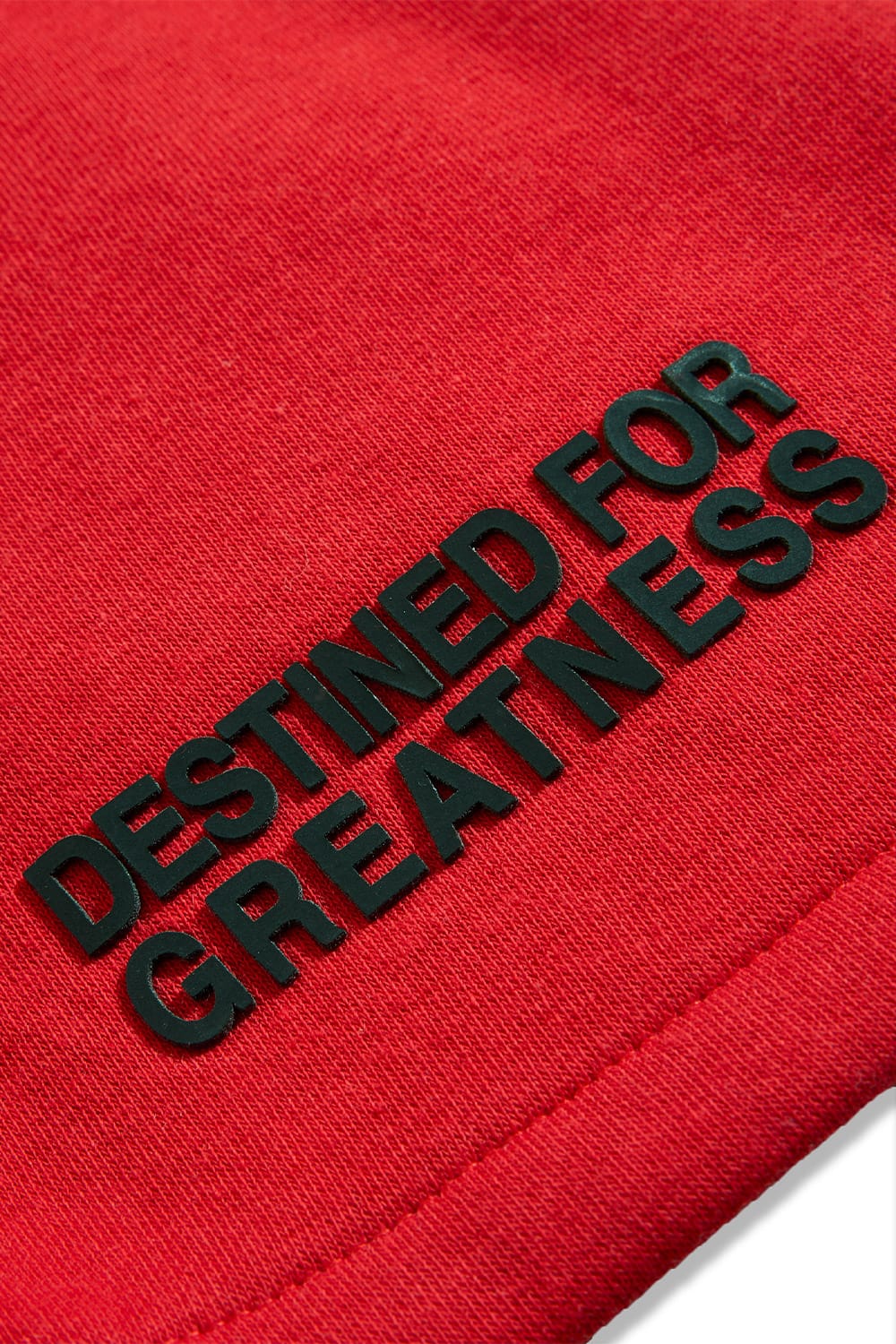 JC Kids Kids Destined For Greatness Shorts