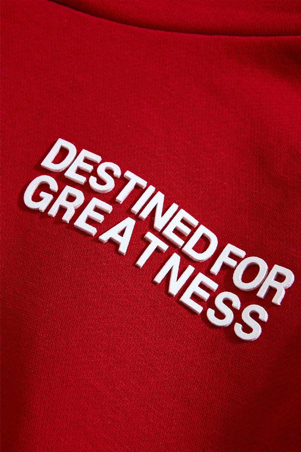 JC Kids Kids Destined For Greatness Pullover Hoodie (2026 Edition)
