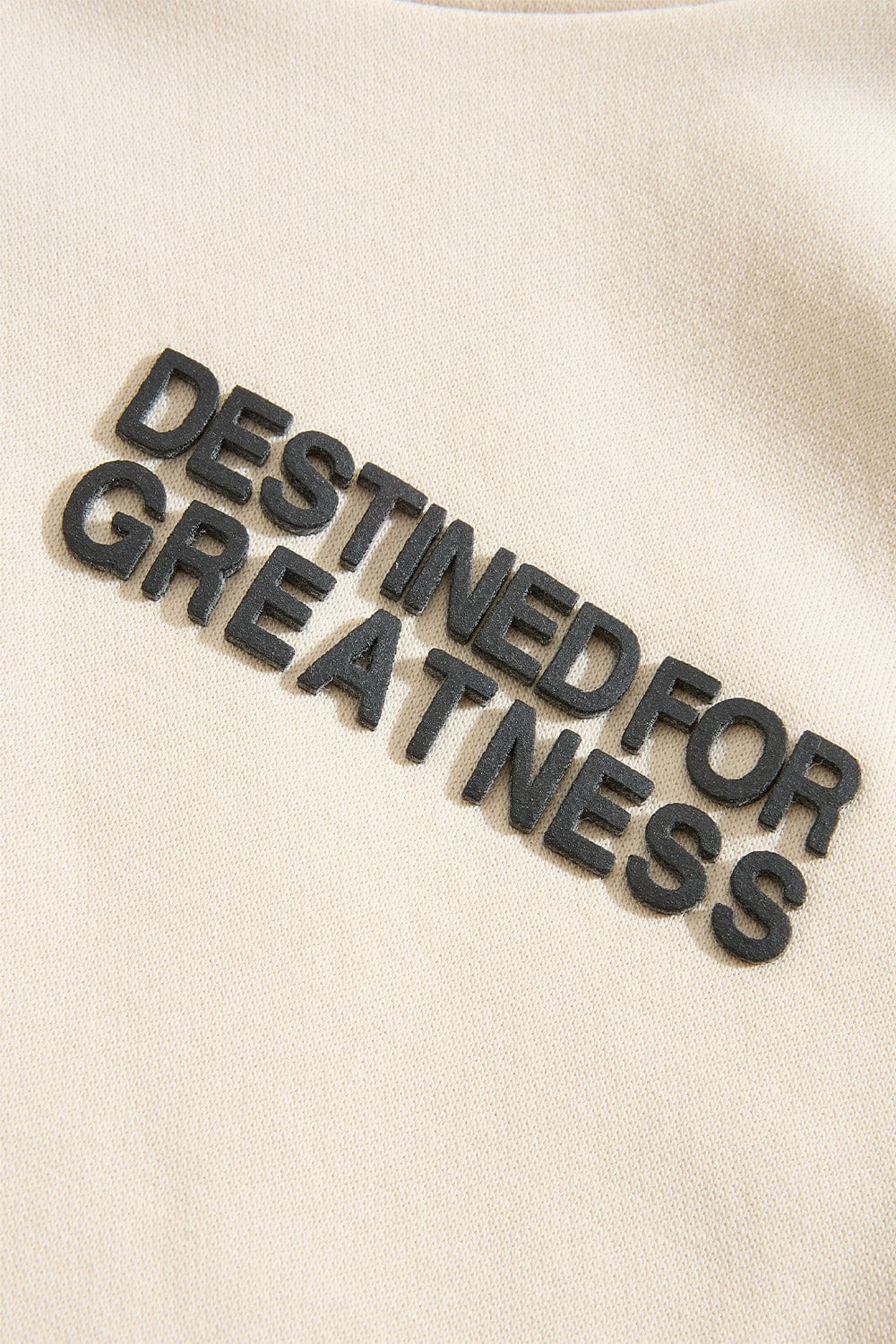 JC Kids Kids Destined For Greatness Pullover Hoodie (2026 Edition)