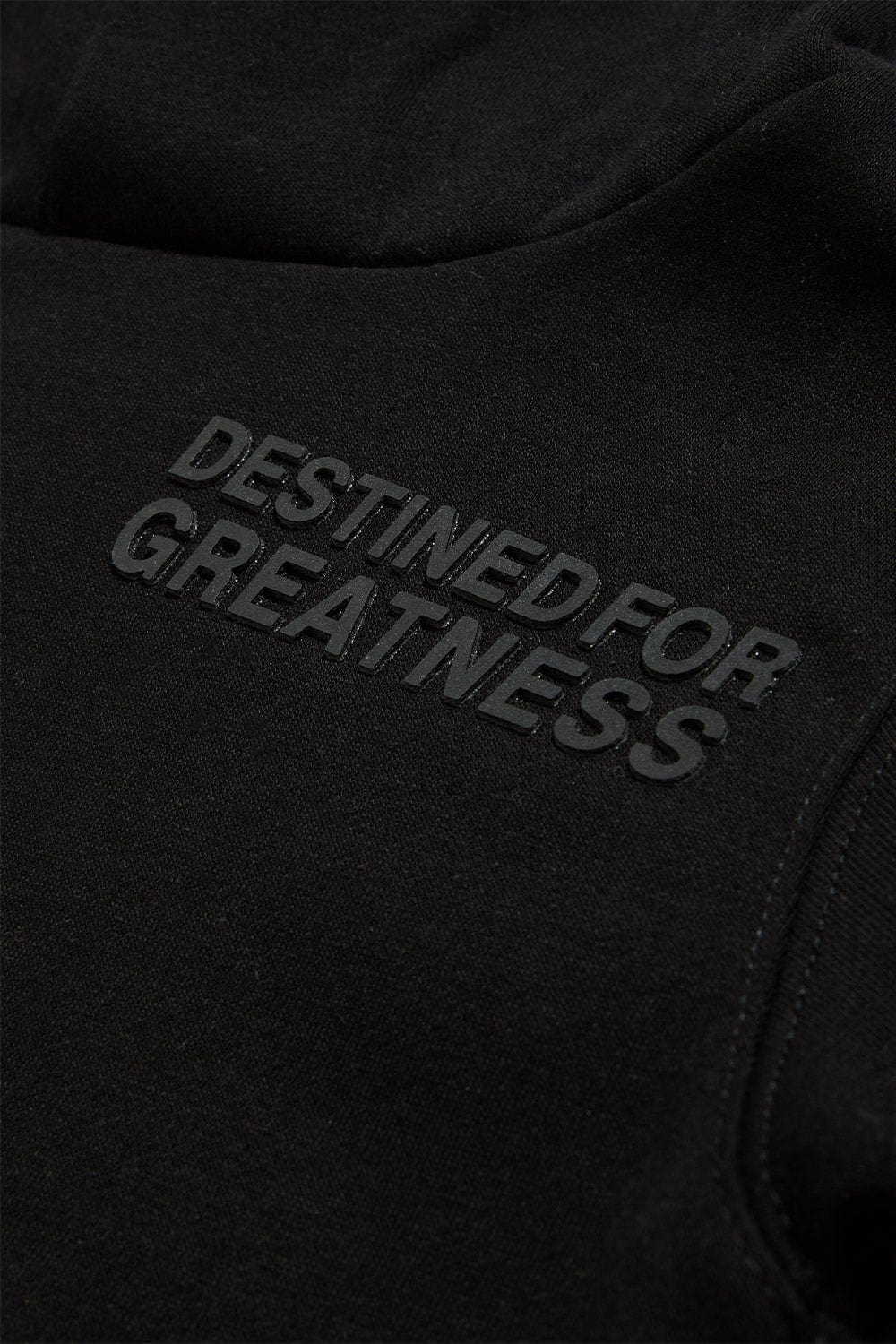 JC Kids Kids Destined For Greatness Pullover Hoodie