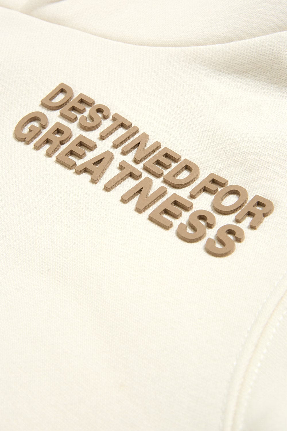 JC Kids Kids Destined For Greatness Pullover Hoodie