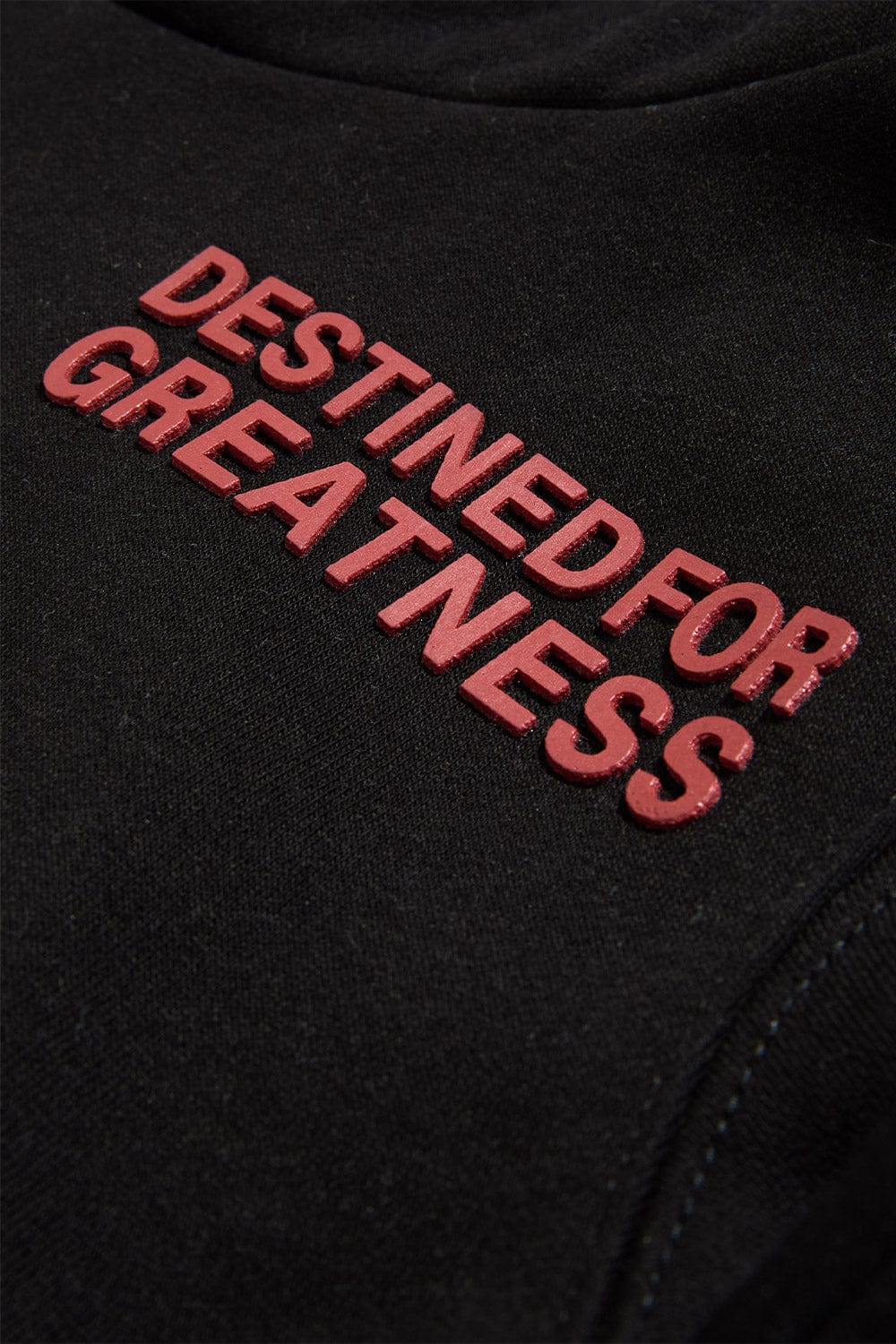 JC Kids Kids Destined For Greatness Pullover Hoodie