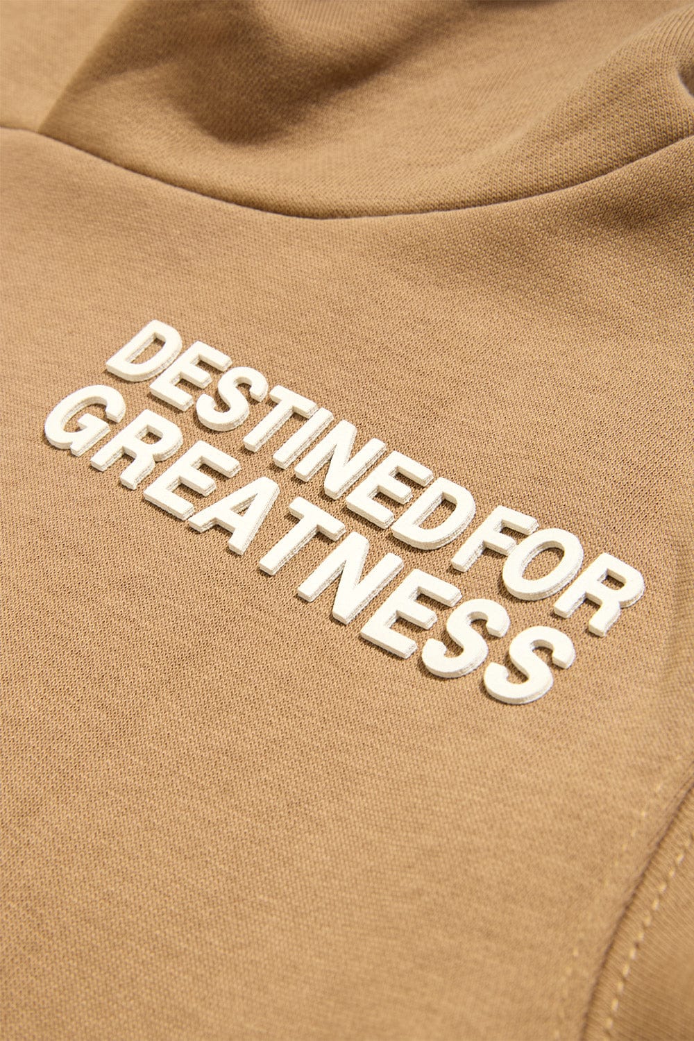 JC Kids Kids Destined For Greatness Pullover Hoodie