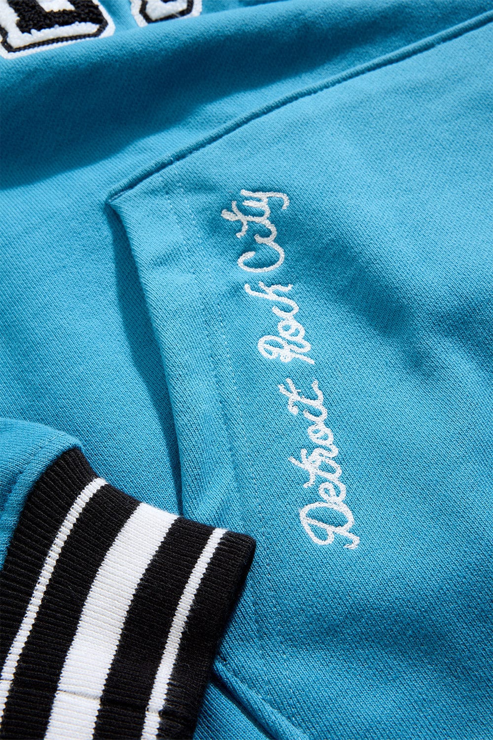 Jordan Craig D-Town Pullover Hoodie (Lion)