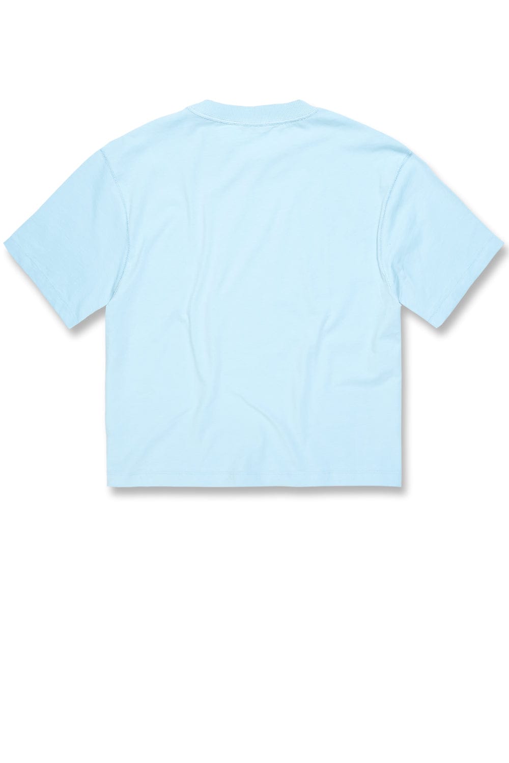 Jordan Craig Burbank Cropped Boxy T-Shirt