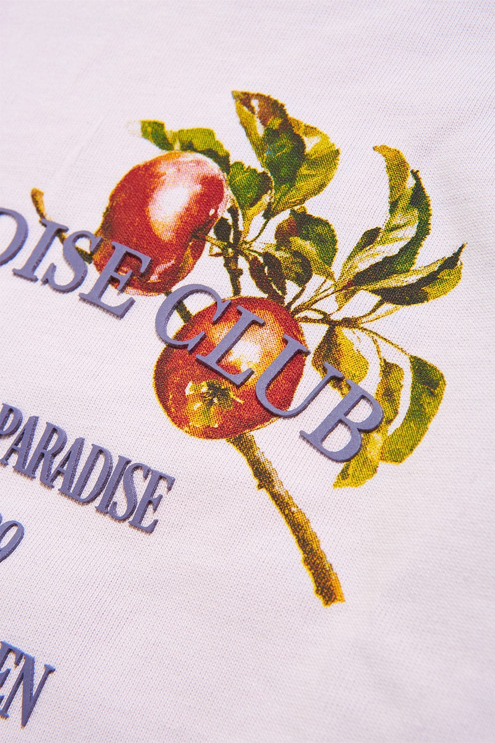 Jordan Craig Paradise Club Cropped Boxy T-Shirt