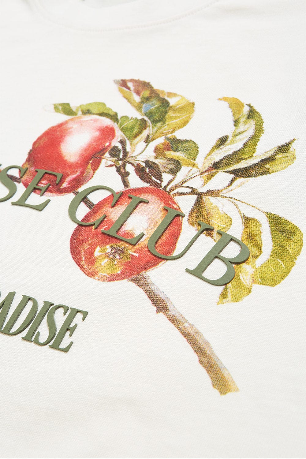Jordan Craig Paradise Club Cropped Boxy T-Shirt