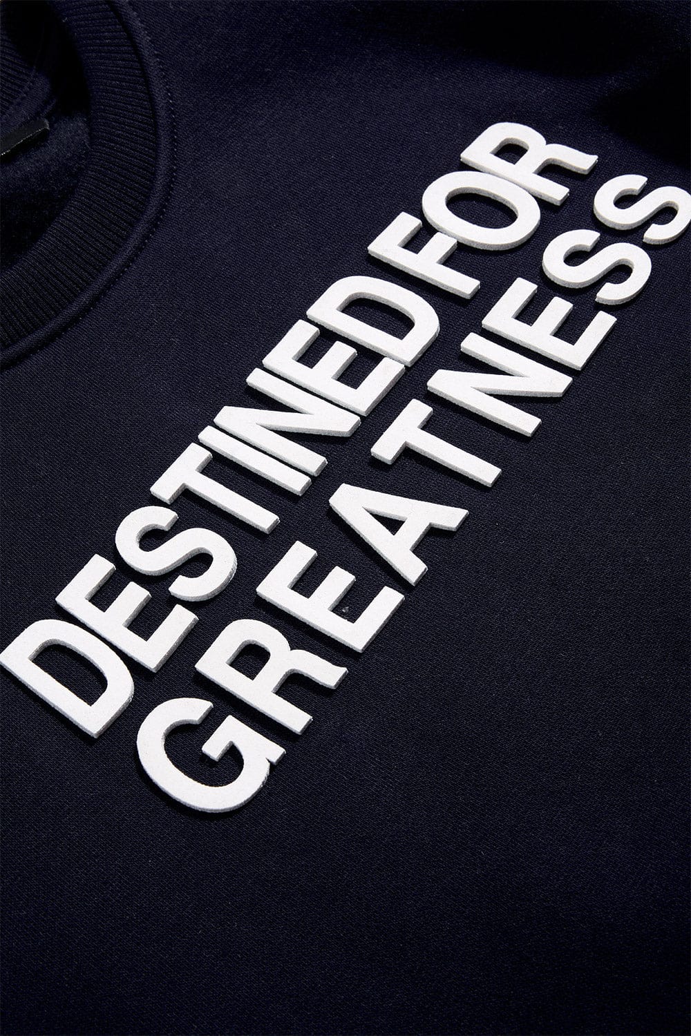 JC Kids Kids Destined For Greatness Crewneck Sweatshirt