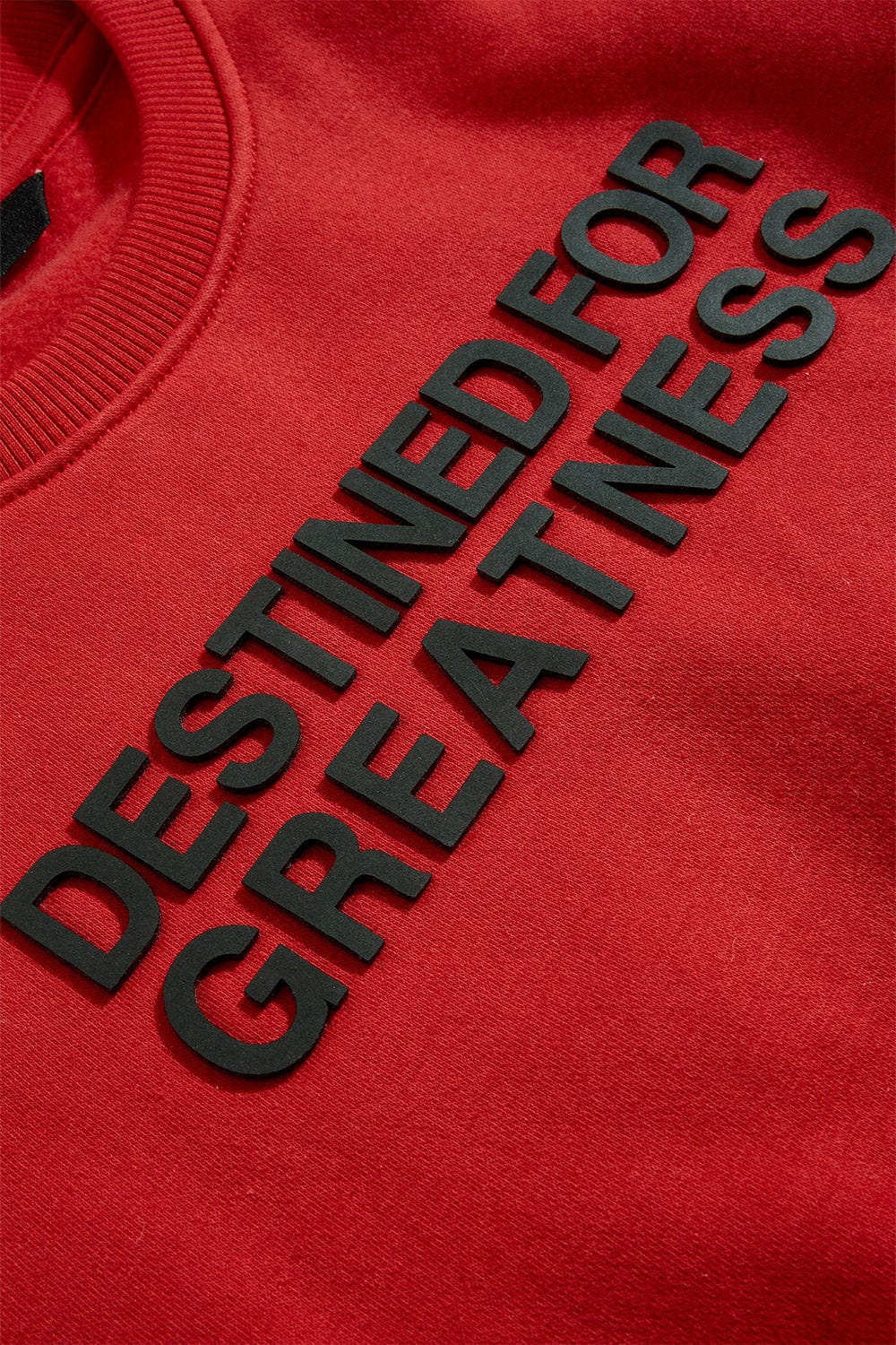 JC Kids Kids Destined For Greatness Crewneck Sweatshirt